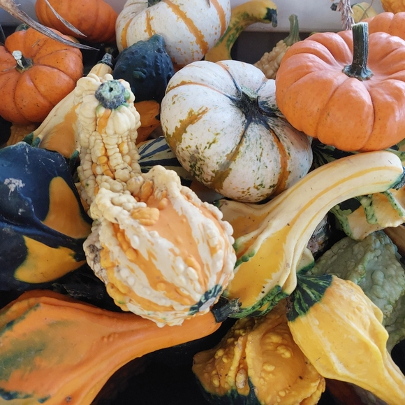 🐸🍄🌻 Meet Your Posher 🌻🍄🐸 - Picture 7 of 12